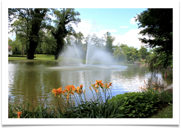 IMG_4122_640x427